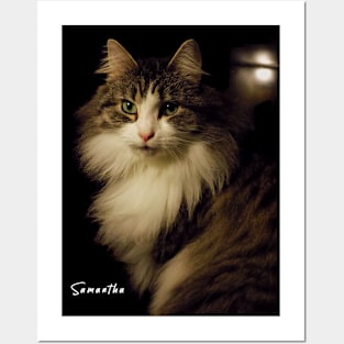 Ms. Samantha Fluffypants Posters and Art